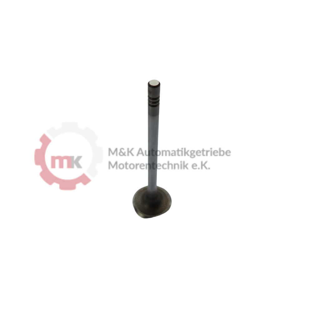 Land Rover 204DTD , 204DTA  Einlassventil LR073780